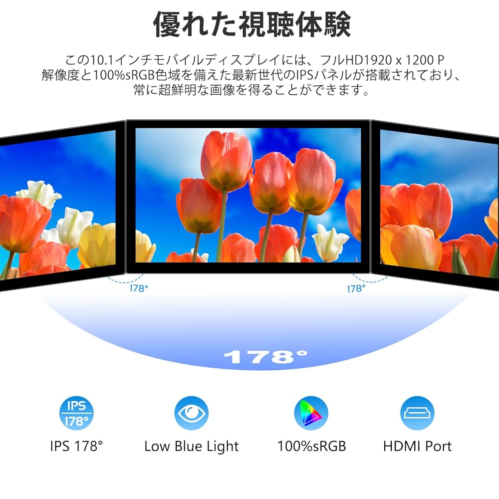 モニター 10.1インチ 1920 x 1200ピクセル IPSモニターHDM Amazon.co.jp: 小型モニター 10.1インチ 1920 x 1200ピクセル